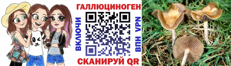 Псилоцибиновые грибы Cubensis  купить наркотики цена  Лесной 